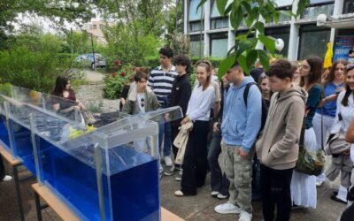 Posjet manifestaciji Dan i noć na PMF-u