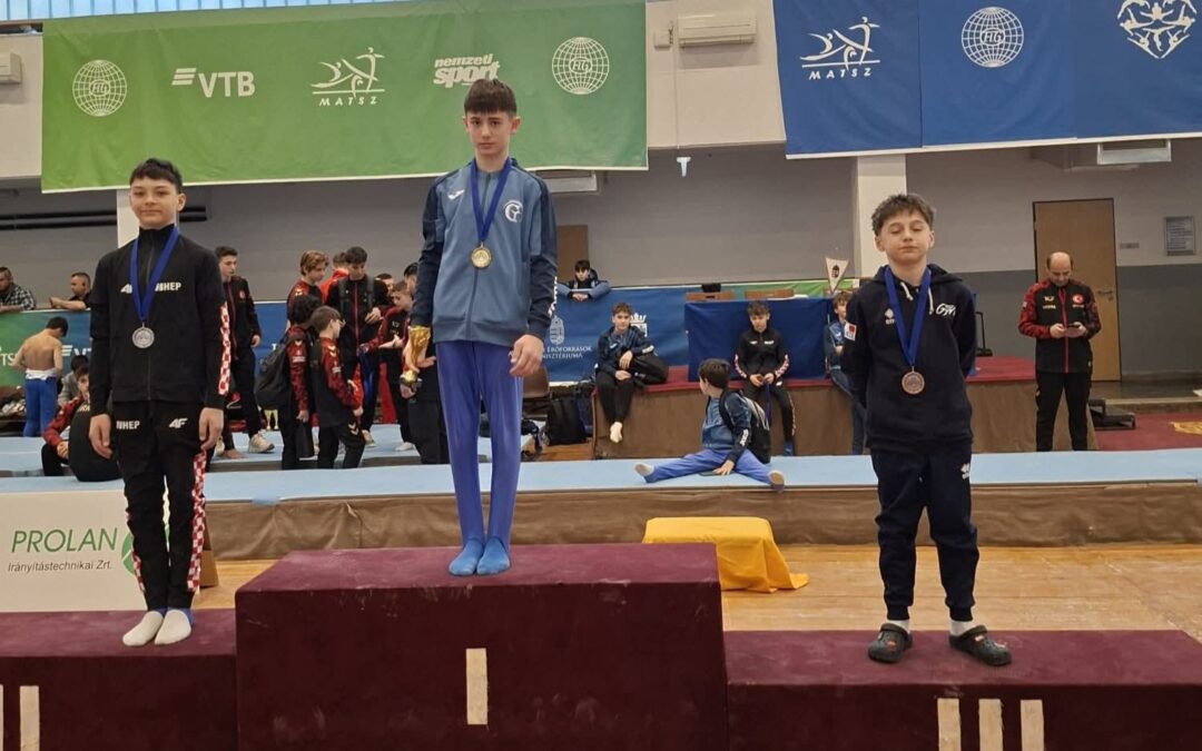 Zlatni Borna u međunarodnim natjecanjima u gimnastici